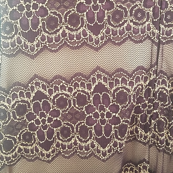 V-back Embroidered Lace Mystic Dress - Picture 3 of 5